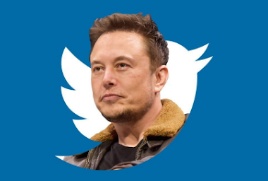 An Image of Elon musk inside the Twitter Logo