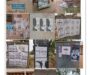 ‘Toothless Rule’: More Posters Deface the University Because the Law is Inanimate