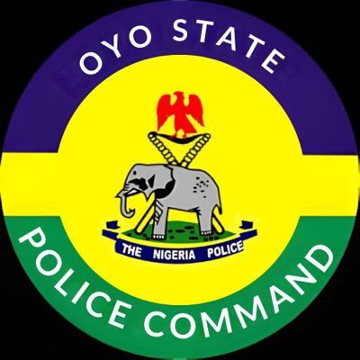 Oyo State Police Command Confirms Death Incident at UI Swimming Pool, Launches Investigation