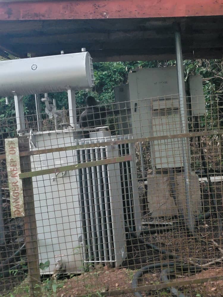 Left in Dark: Erratic Electricity and Its Impact on UI Students 