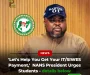 ‘Let’s Help You Get Your IT/SIWES Payment,’ NANS President Urges Students